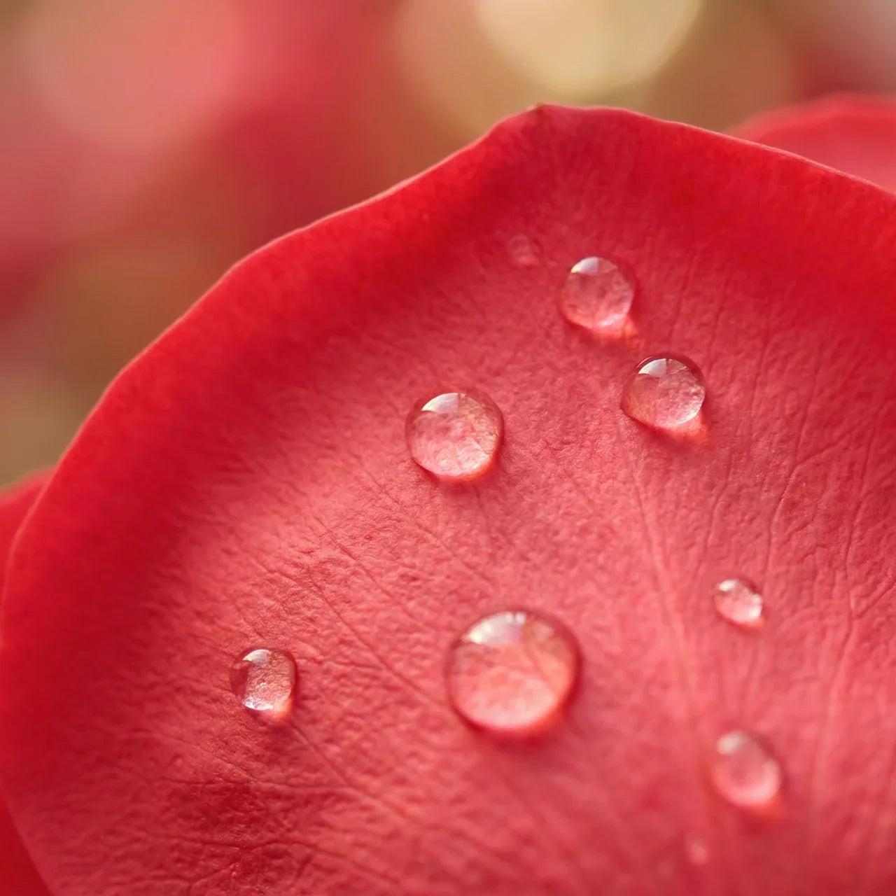Menstruatie opwekken: wat werkt, wat niet en wanneer je moet laten checken